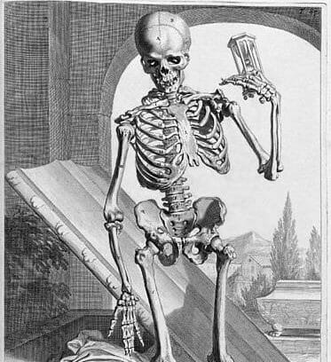 skeleton
