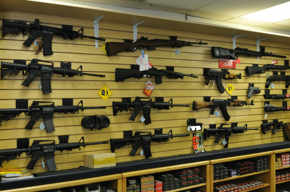 Art for They Want to Take the Guns, Don’t They?.