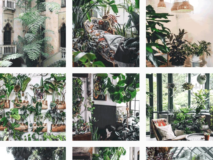 Art for Plant Parenthood.