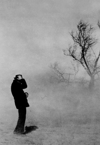 A man tries to hold onto his hand during a dust storm next to a desolate tree.
