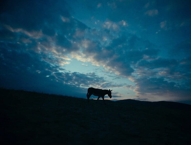 Art for Donkey Work.